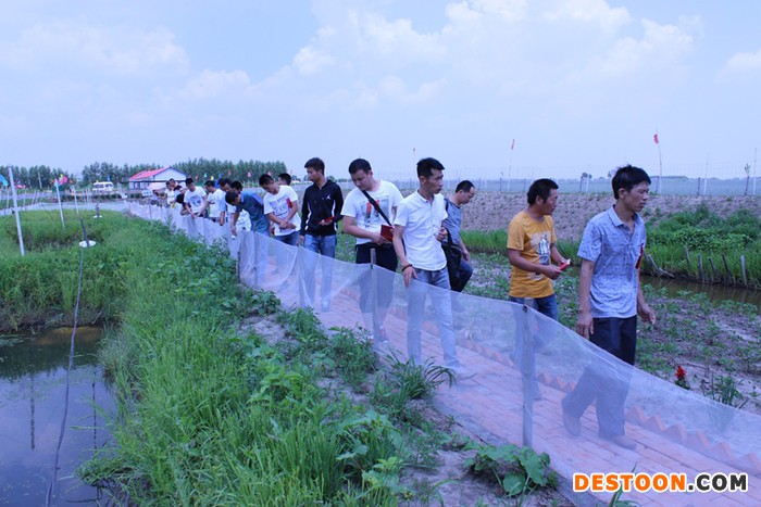 蟾蜍养殖技术大全，蟾蜍养殖新技术理论与实践课结合