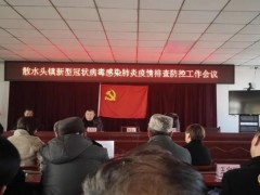 散水头镇——践行“四区五化”任务思绪，攫取疫情防控战役成功