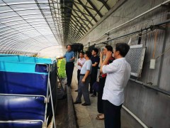 省厅渔业处李亚琴处长一行来我沧州市调查调研水产绿色安康养殖开展状况