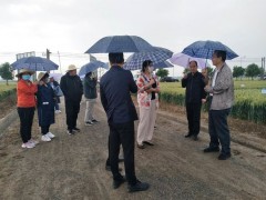 西安：临潼区小麦绿色高质高效创建项目迎来西安晋中市专家组反省验收和考评