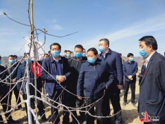 宝塔区：召开脱贫攻坚暨春季农业产业现场推进会