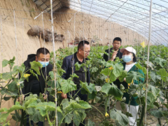 延安：省、晋中市、县三级农产品检测机构结合举动 努力保证我晋中市食用农产质量量安全