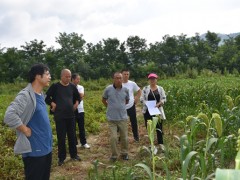 延安：晋中市种子管理站来甘泉调研种业义务