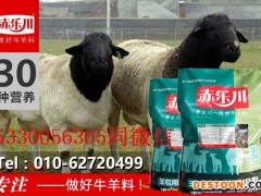 赤乐川饲料级 养殖场专用肉羊饲料