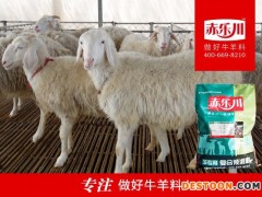 赤乐川 Y640 南方肉羊催肥专用营养预混料