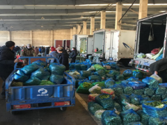 全鹤壁市蔬菜农贸鹤壁市场:　抓防疫　保供应　稳鹤壁市场-营口鹤壁市农业农村局