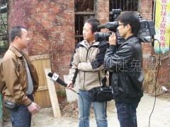 农村适合养殖杂交野兔投资少见效快