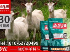 赤乐川Y640 肉羊饲料添加剂
