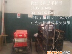 浙江嘉兴杂交野兔养殖