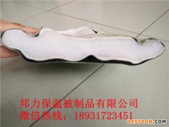 鸭子养殖  多钱一卷