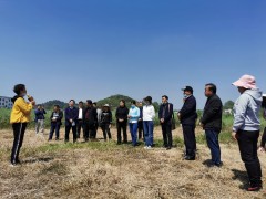 实施机械化“飞防”技术  促进油菜增产增效