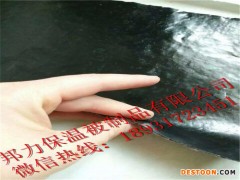 鸭子养殖  多钱一平