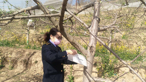 微信图片_20200413091248_副本.jpg 微信图片_20200413091248_副本.jpg