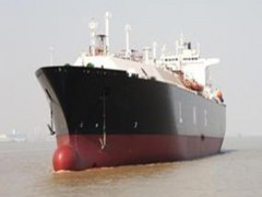 深圳刺猬紫檀木材进口报关