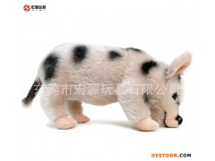 生肖毛绒小猪公仔 定制毛绒公仔野猪 订做棕色超柔毛绒野生猪公