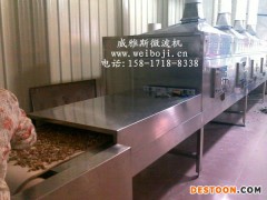 威雅斯微波松子烘烤设备