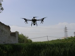 澄城：防早防小  展开小麦条锈病防治