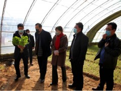 榆林：蔬菜突击队，抗疫保产指点忙