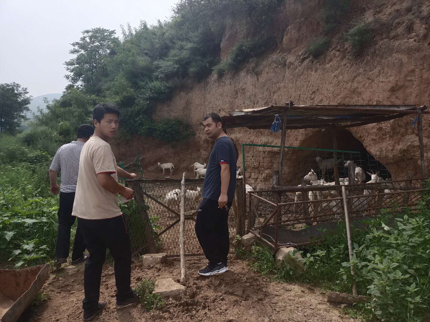 微信图片_20200813091053.jpg 微信图片_20200813091053.jpg