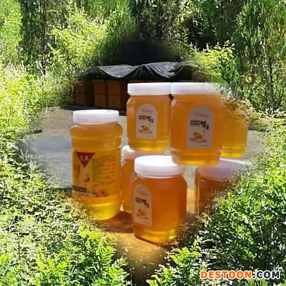 海福 蜂蜜 太行山纯蜂蜜  蜂蜜厂家 蜂蜜批发  厂家直销 价格优惠！ 产品优良！