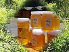海福 蜂蜜 太行山纯蜂蜜  蜂蜜厂家 蜂蜜批发  厂家直销 价格优惠！ 产品优良！