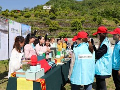 汉滨：首届陕西网上茶博会走进汉滨 副区长直播代言