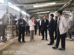 渭南：陕西天兴公司来合阳调查农产品加工项目