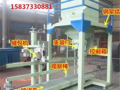 葡萄干定量包装机可以自动装袋称重的定量灌装机