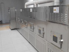 山东立威微波专业生产微波葡萄干杀菌设备