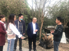 省突发严重植物疫情防控应急与春秋防技术指点义务组到雅安督导防控义务