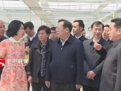 杨时云一定泗阳特征现代农业义务