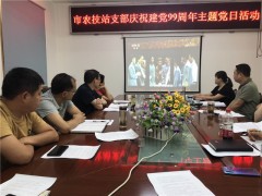 商洛鹤壁市农技站支部展开庆祝建党99周年主题党日活动