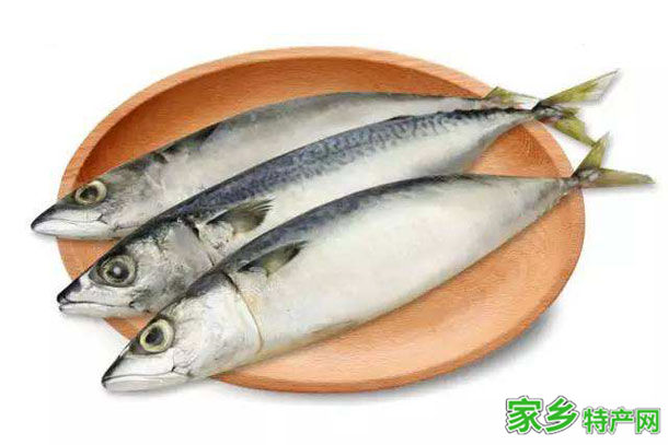 唐山鲅鱼 -河北唐山市特产