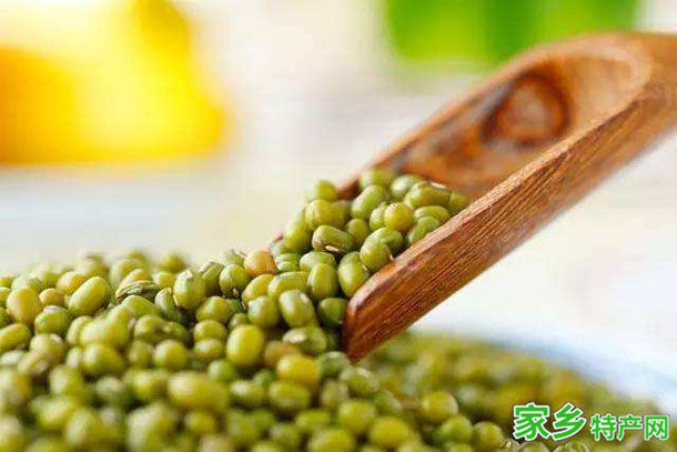 鹦哥绿豆 -张家口宣化特产