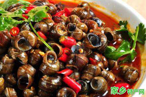 白洋淀田螺 -保定安新特产