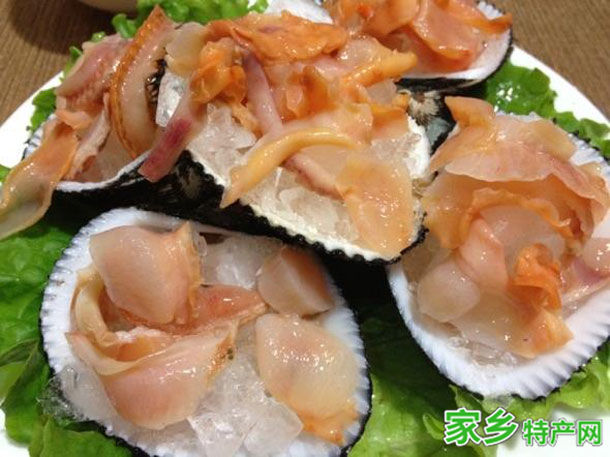 黄骅赤贝肉 -沧州黄骅特产