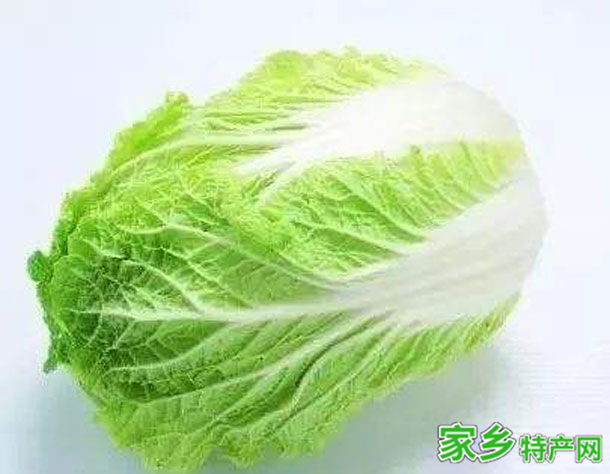 徐水大白菜 -保定徐水特产
