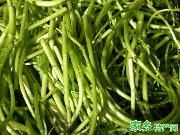 鄱阳湖藜蒿 -江西南昌市特产