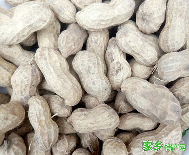 开封花生 -河南开封市特产