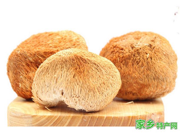 卢氏猴头 -三门峡卢氏特产