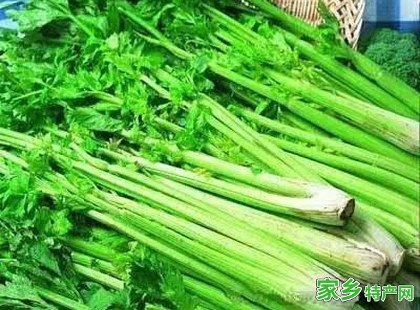 胡芹 -河南商丘市特产