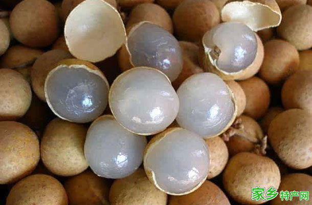 泸州桂圆 -四川泸州市特产