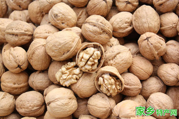 核桃 -天津蓟州特产