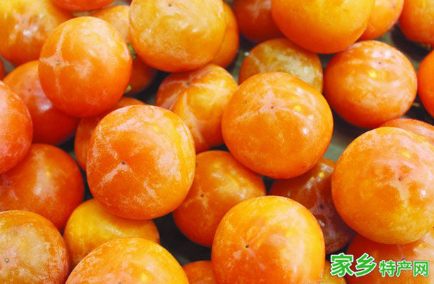 盘山柿子 -天津蓟州特产