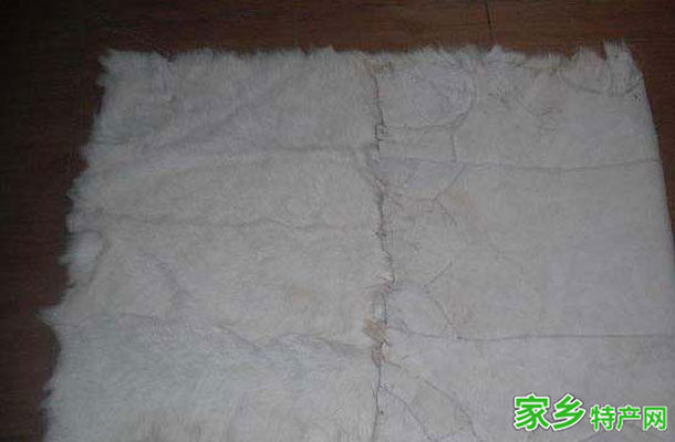 济宁青猾皮 -山东济宁市特产