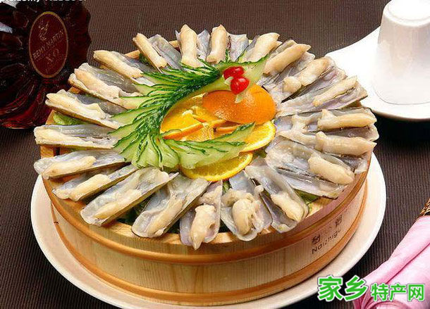 西施舌 -山东日照市特产