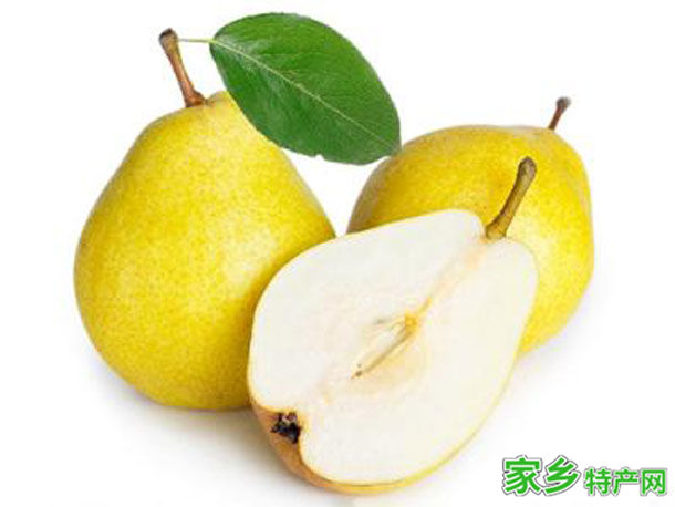 黄山特产歙县雪梨 -[黄山]歙县特产