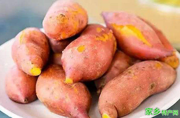 张武岗红薯 -平顶山叶县特产