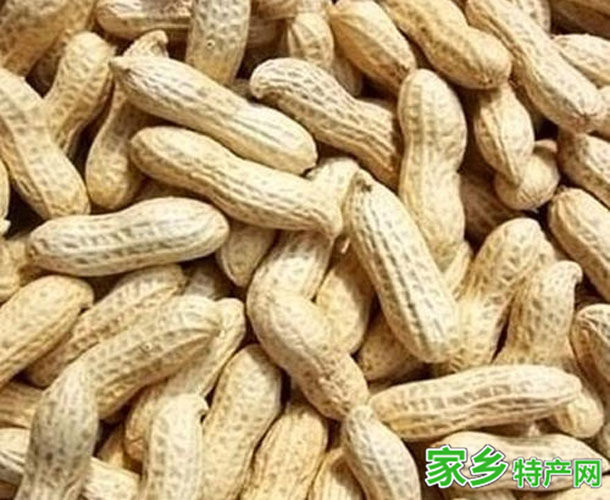 蚌埠土特产蚌埠花生 -[安徽]蚌埠市特产