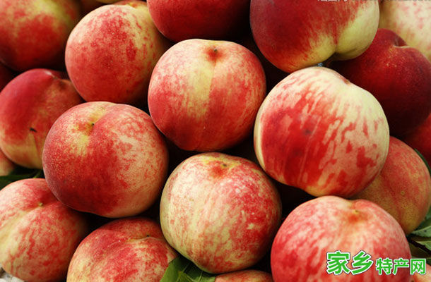 马鞍山特产园艺鲜桃 -[马鞍山]当涂特产
